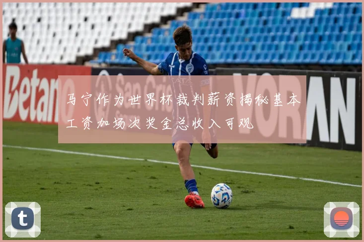 马宁作为世界杯裁判薪资揭秘基本工资加场次奖金总收入可观